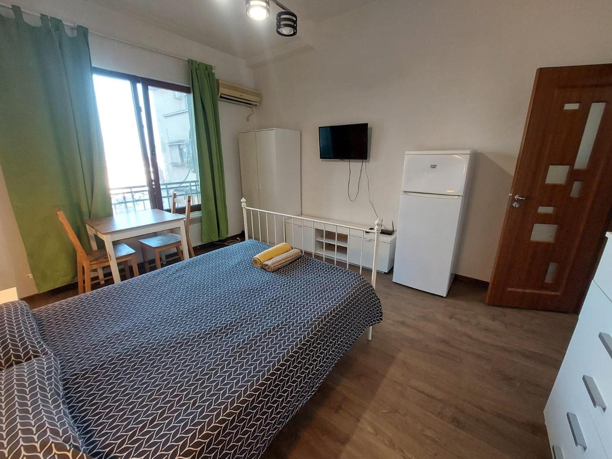 Apartament Vasile Conta *